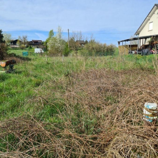  AGENCE IMMOBILIERE MB : Terrain | HILSPRICH (57510) | 0 m2 | 31 500 € 