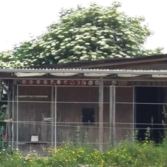  AGENCE IMMOBILIERE MB : Maison / Villa | TENTELING (57980) | 102 m2 | 199 000 € 