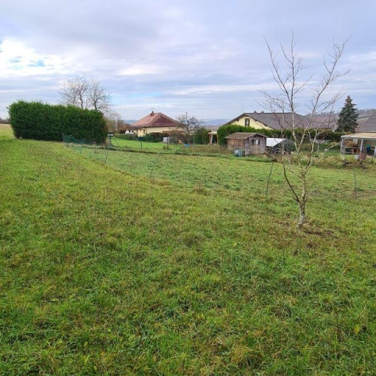  AGENCE IMMOBILIERE MB : Maison / Villa | THEDING (57450) | 100 m2 | 239 000 € 