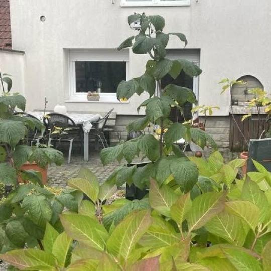  AGENCE IMMOBILIERE MB : House | KERBACH (57460) | 140 m2 | 208 000 € 