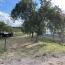 AGENCE IMMOBILIERE MB : Terrain | FARSCHVILLER (57450) | 0 m2 | 31 500 € 