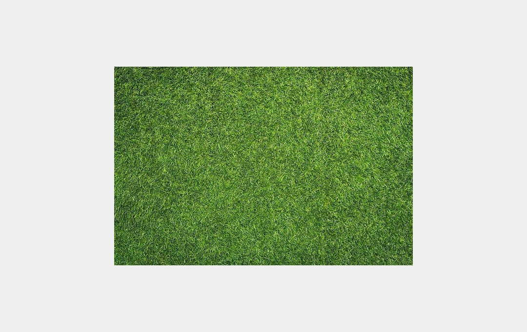 AGENCE IMMOBILIERE MB : Terrain | FORBACH (57600) | 0 m2 | 81 000 € 