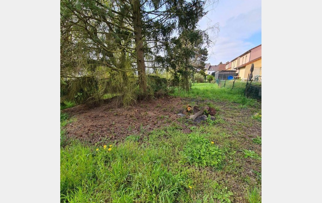 Agence immobilière MB : Terrain | FORBACH (57600) | 0 m2 | 75 000 € 