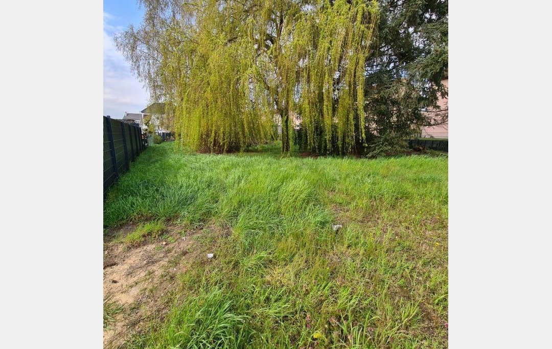 Agence immobilière MB : Terrain | FORBACH (57600) | 0 m2 | 75 000 € 