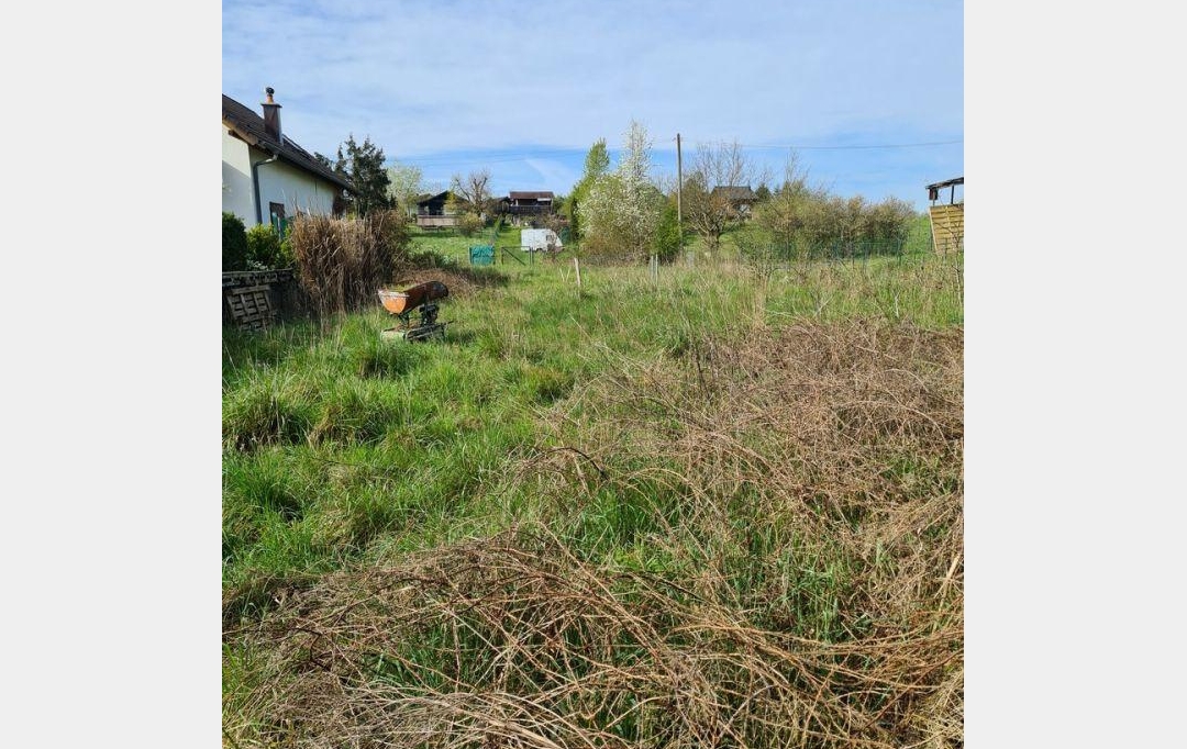 AGENCE IMMOBILIERE MB : Terrain | HILSPRICH (57510) | 0 m2 | 31 500 € 