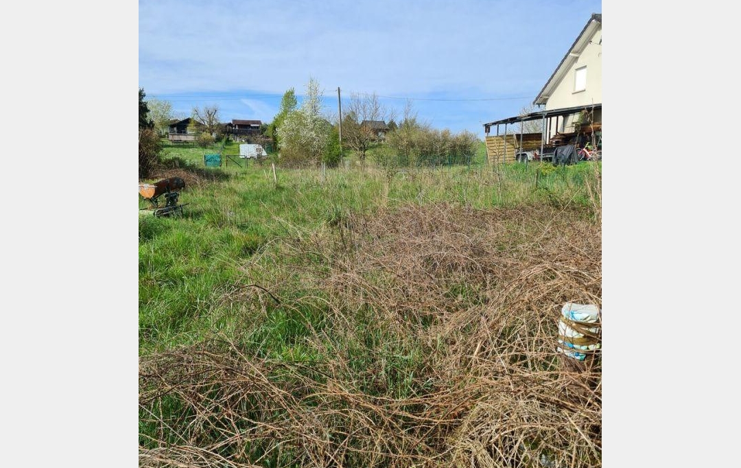 AGENCE IMMOBILIERE MB : Terrain | HILSPRICH (57510) | 0 m2 | 31 500 € 