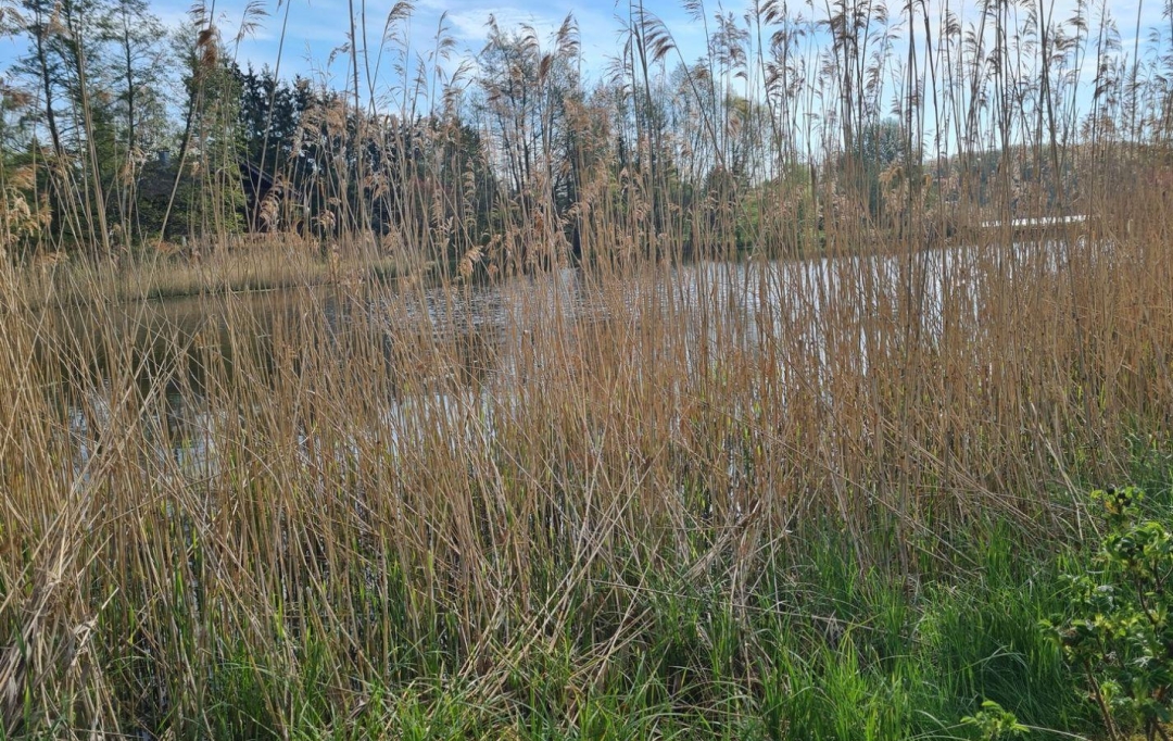 AGENCE IMMOBILIERE MB : Terrain | HILSPRICH (57510) | 0 m2 | 31 500 € 