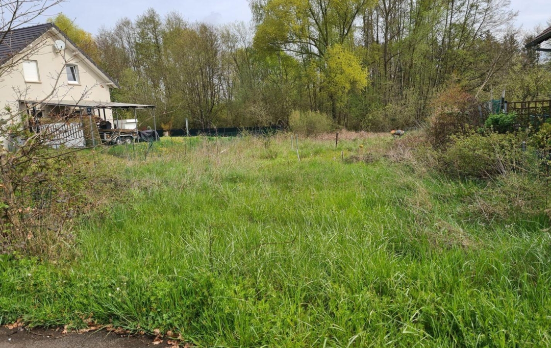 AGENCE IMMOBILIERE MB : Terrain | HILSPRICH (57510) | 0 m2 | 31 500 € 