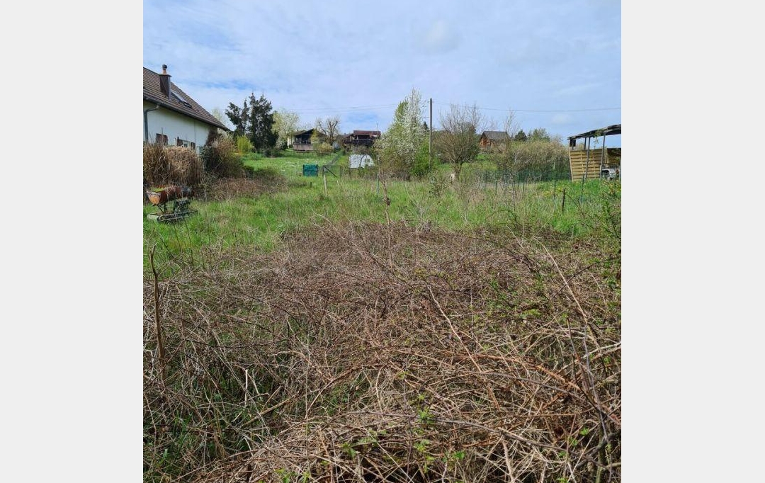 AGENCE IMMOBILIERE MB : Terrain | HILSPRICH (57510) | 0 m2 | 31 500 € 