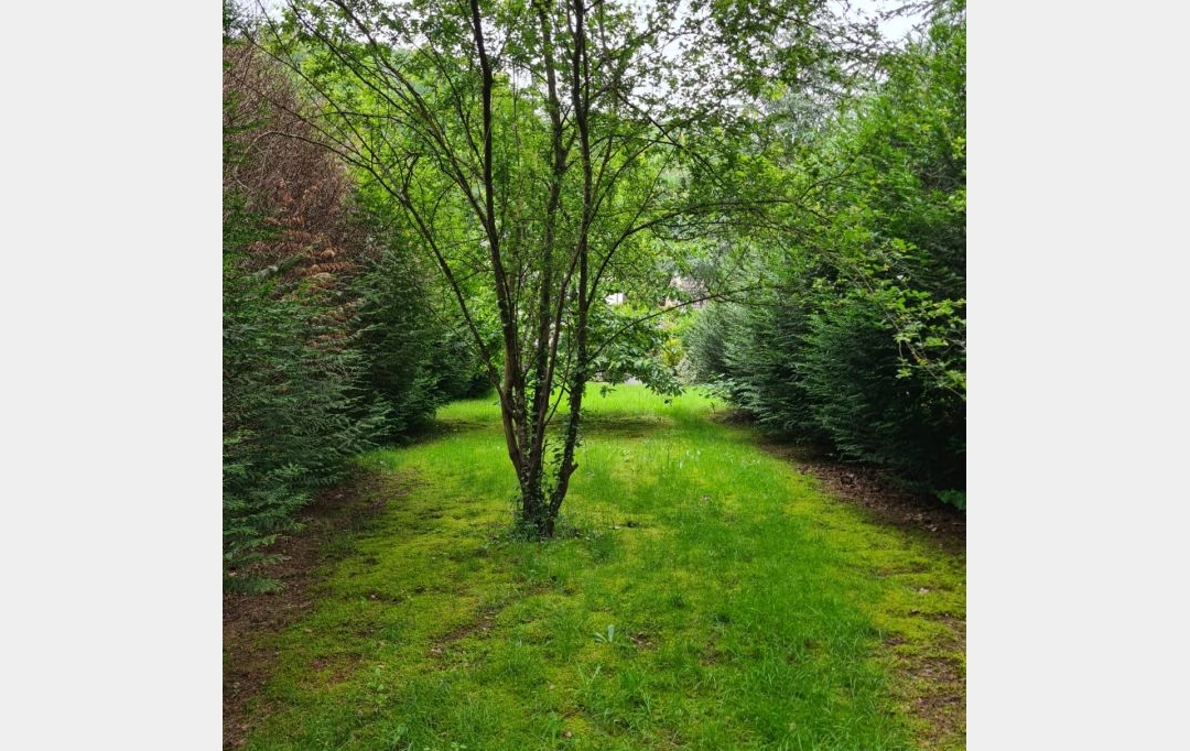 AGENCE IMMOBILIERE MB : Appartement | FORBACH (57600) | 124 m2 | 239 000 € 
