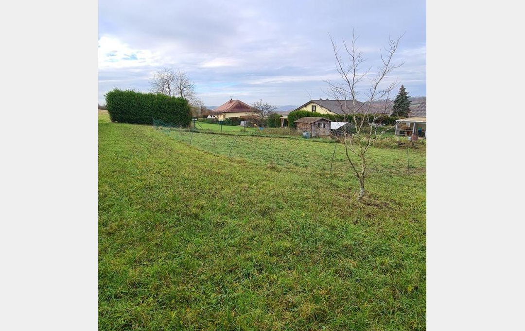 AGENCE IMMOBILIERE MB : Maison / Villa | THEDING (57450) | 100 m2 | 239 000 € 