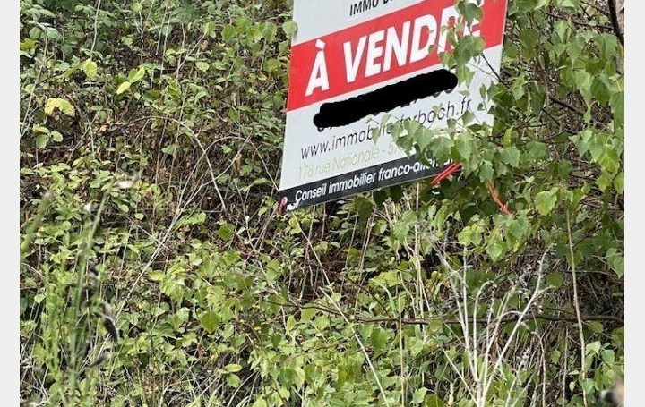 Agence immobilière MB : Terrain | FORBACH (57600) | 0 m2 | 115 000 € 