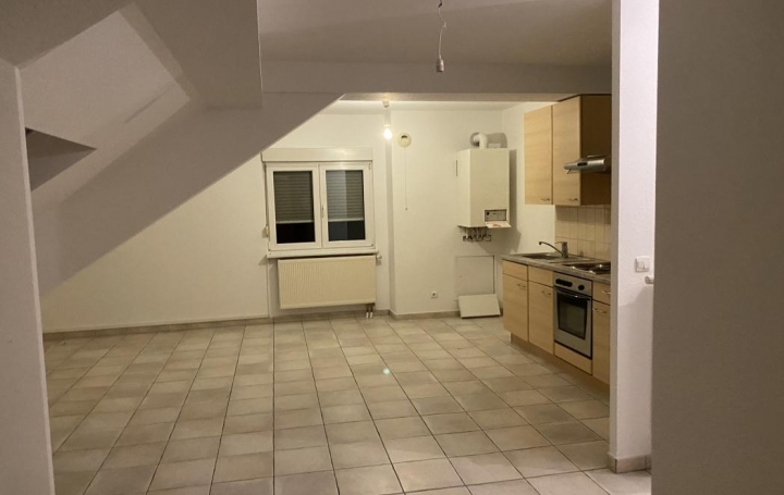 AGENCE IMMOBILIERE MB : Appartement | SARRALBE (57430) | 52 m2 | 60 000 € 