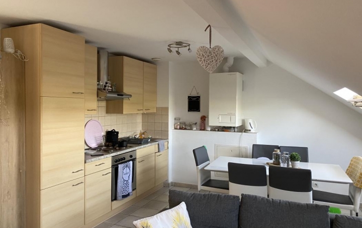 AGENCE IMMOBILIERE MB : Appartement | SARRALBE (57430) | 49 m2 | 60 000 € 