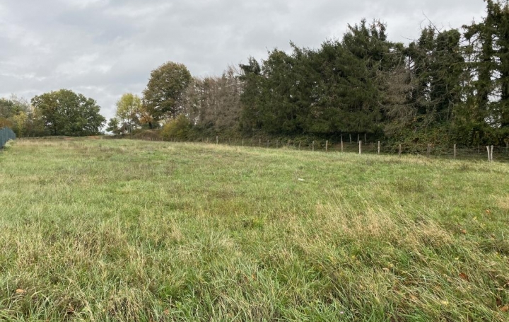 AGENCE IMMOBILIERE MB : Terrain | HARSKIRCHEN (67260) | 0 m2 | 147 000 € 
