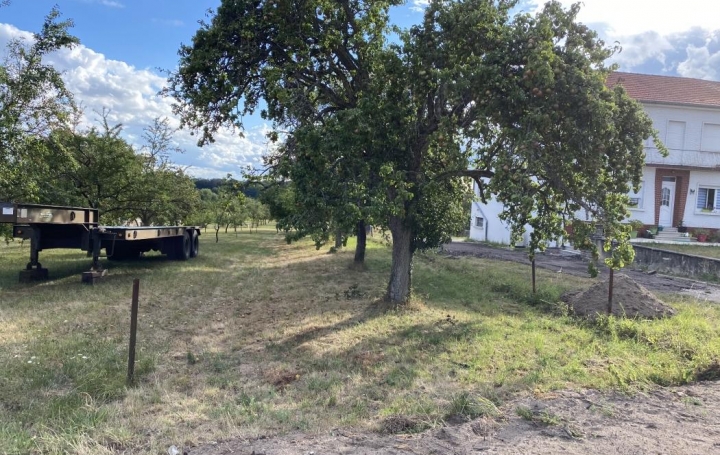 AGENCE IMMOBILIERE MB : Terrain | FARSCHVILLER (57450) | 0 m2 | 31 500 € 