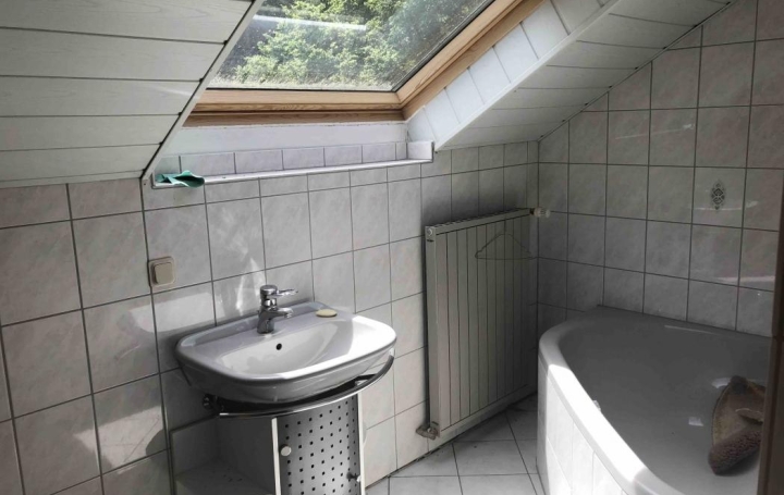 AGENCE IMMOBILIERE MB : House | PUTTELANGE-AUX-LACS (57510) | 203 m2 | 100 000 € 