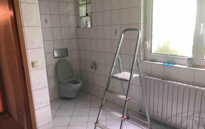 AGENCE IMMOBILIERE MB : House | PUTTELANGE-AUX-LACS (57510) | 203 m2 | 100 000 € 