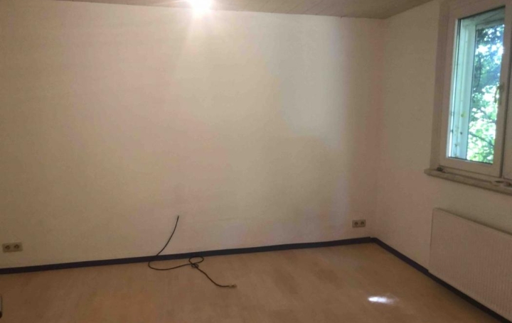 AGENCE IMMOBILIERE MB : House | PUTTELANGE-AUX-LACS (57510) | 203 m2 | 100 000 € 