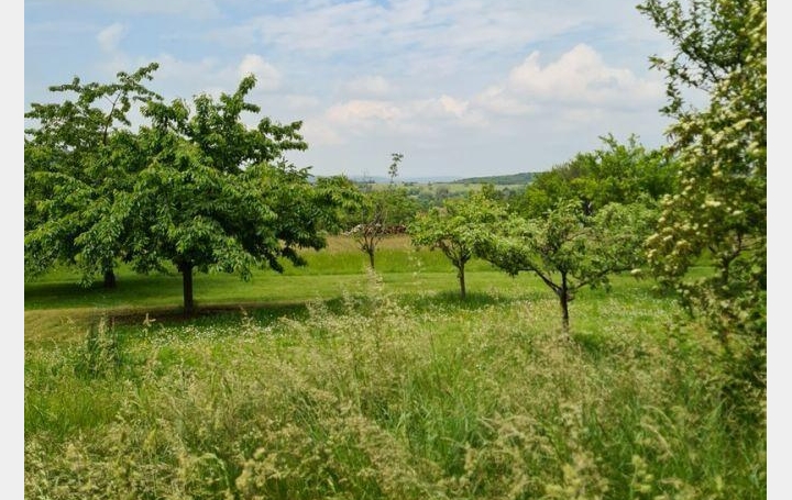 AGENCE IMMOBILIERE MB : Maison / Villa | FOLKLING (57600) | 85 m2 | 0 € 