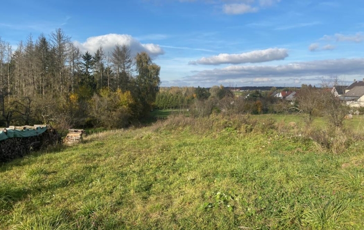 Agence immobilière MB : Terrain | HAMBACH (57910) | 0 m2 | 70 000 € 