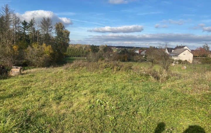 Agence immobilière MB : Terrain | HAMBACH (57910) | 0 m2 | 70 000 € 