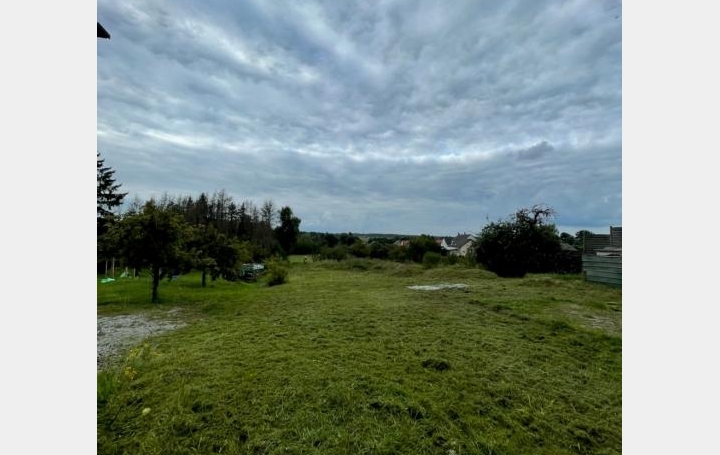 AGENCE IMMOBILIERE MB : Terrain | HAMBACH (57910) | 0 m2 | 70 000 € 